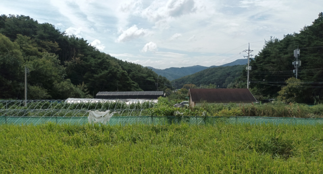 상중심마을 입구쪽 전경