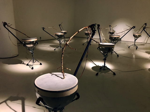 김희선, 비가(Elegy), 인터랙티브 멀티미디어 설치, 호두나무가지, 작은북, 아두이노, 거리센서, 2022.