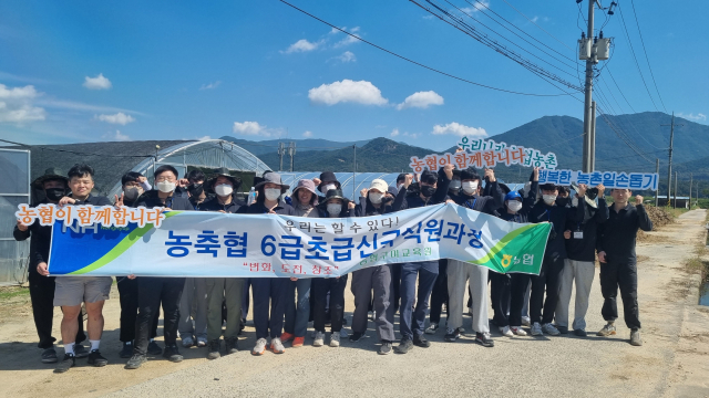 농협구미교육원은 23일 수확철을 맞아 교직원과 농·축협 신규직원이 함께 일손이 부족한 멜론 농가를 찾아 유인줄 제거와 제초 작업 등 일손 돕기에 나섰다. 농협구미교육원 제공