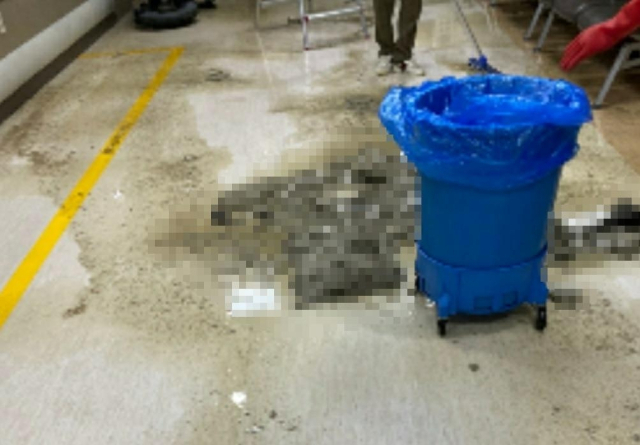 제보자 A씨 제공. 연합뉴스