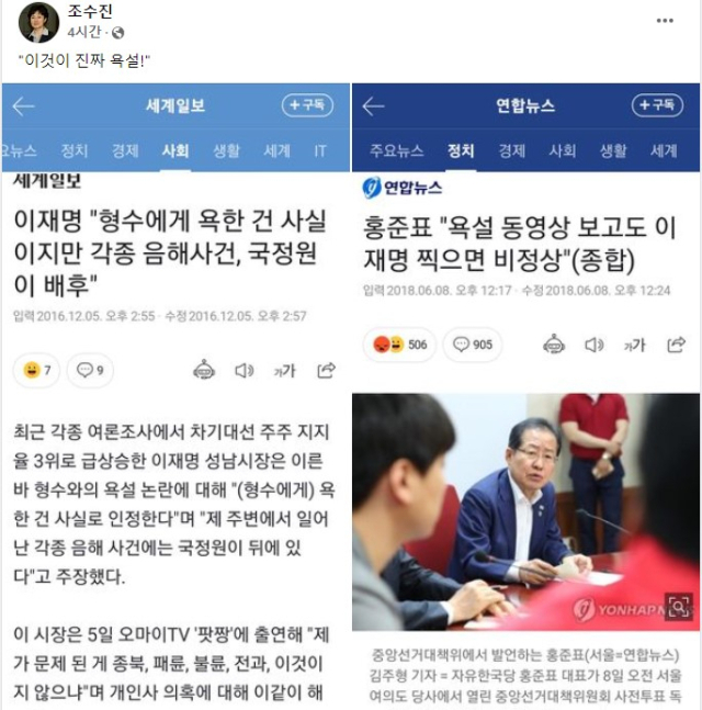 조수진 국민의힘 의원 페이스북 캡쳐