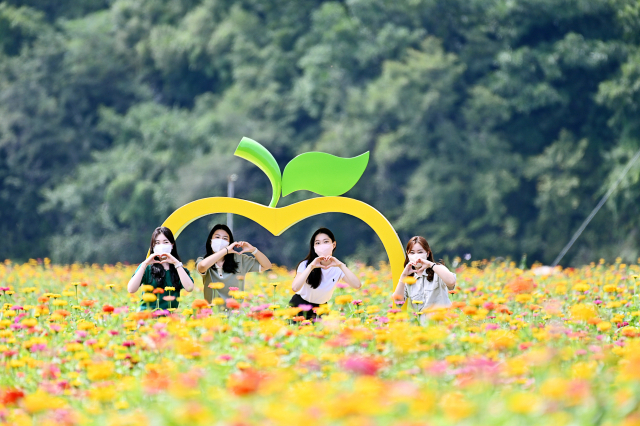 청송군 파천면 송강리 일원의
