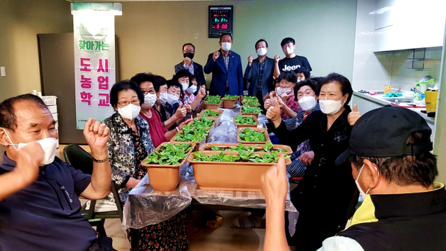 대한노인회 대구경로당광역지원센터는 경로당 도시농업학교를 개설 운영중이다. 사진은 대구 달성군 세천경로당 어르신들이 쌈 배추를 기르고 있다. 대구경로당광역지원센터 제공