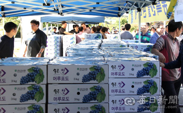 제8회 경산 남천 맥반석 포도축제가 오는 10월 1일 남천면 다목적광장에서 열린다. 사진은 2019년 제 7회 축제 당시 머루포도 판매장 모습. 경산시 제공