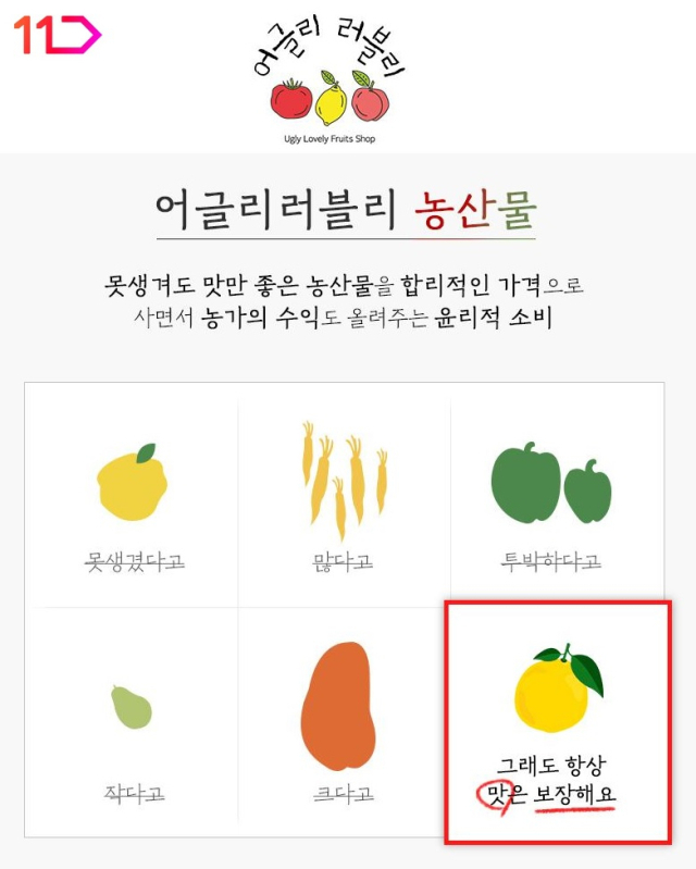 사진= 11번가 제공