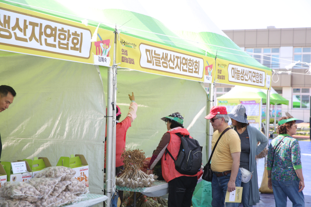 2019년 의성슈퍼푸드마늘축제장을 찾은 관광객들이 의성마늘 장터에서 마늘을 살펴보고 있다. 의성군 제공