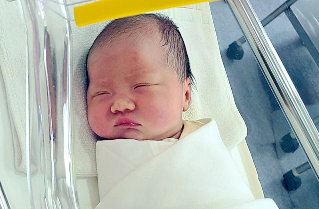 송지혜 아가