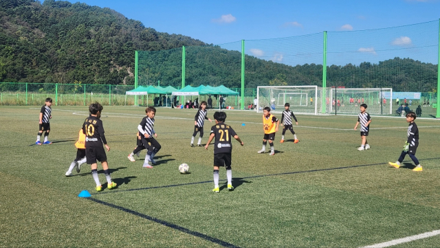 8일 오전 상주컵 전국유소년클럽 축구 페스티벌의 한 경기 장면 고도현 기자