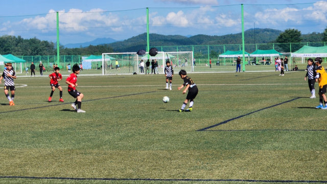 8일 오전 상주컵 전국유소년클럽 축구 페스티벌의 한 경기 장면 고도현 기자