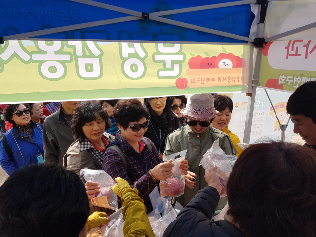 2019년 문경사과 축제에서 관광객들이 감홍사과를 구입하고 있다. 고도현 기자