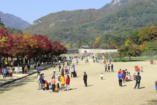 단풍이 물들기 시작한 문경새재의 가을. 문경시 제공