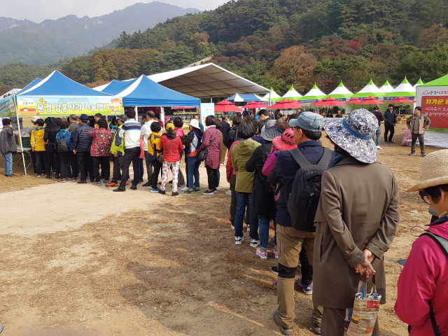 2019년 문경사과축제에서 관광객들이 감홍사과를 구입하기 위해 줄을 서 기다리고 있다. 고도현 기자