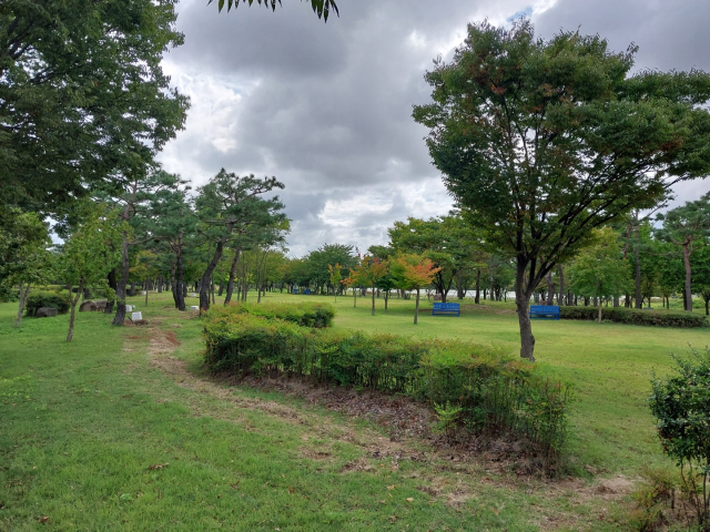 경주 황성공원 시립미술관 건립 예정 부지가 너무 외져 향후 
