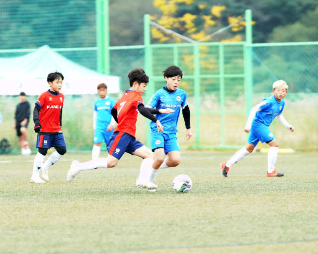 9일 오전 상주컵 전국유소년클럽 축구 페스티벌의 한 경기 장면. 고도현 기자