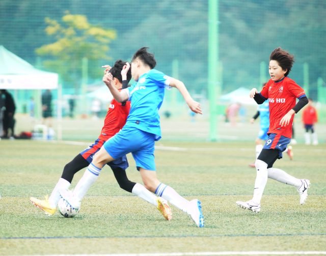 9일 오전 상주컵 전국유소년클럽 축구 페스티벌의 한 경기 장면. 고도현 기자