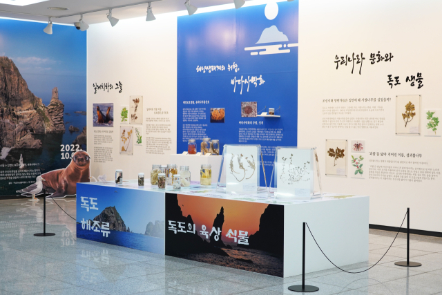 수성구립 고산도서관은 오는 25일 독도의 날을 맞아 우리 섬 