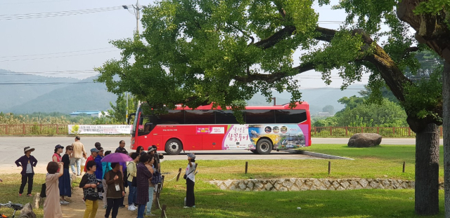 대구 달성군과 달서구, 경북 고령군의 관광지를 돌아보는 지역연계 관광 투어버스 