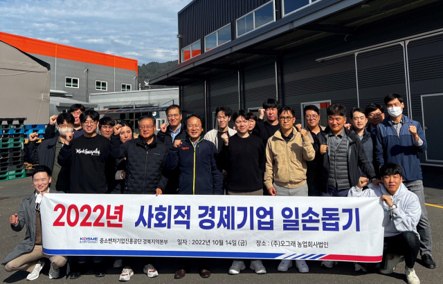 중소벤처기업진흥공단 경북지역본부 임직원들이 성주의 ㈜오그래 농업회사법인에서 사회적경제기업 일손 돕기 행사를 하고 있다. 중소벤처기업진흥공단 제공