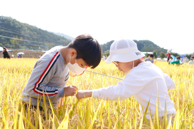경북 성주군에 개최한