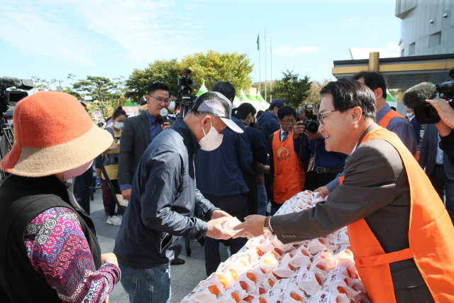 14~16일 열린 청도반시 축제장에서 관람객에게 시식용 반시를 나눠주는 행사가 열리고 있다. 청도군 제공