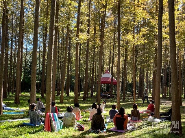 영덕보건소가 운영하는 심리회복 프로그램에 참가한 군민들이 영해면 메타세콰이어 숲에서 명상 요가를 하고 있다. 영덕군 제공