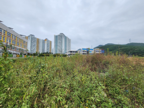 최근 찾은 대구 북구 연경지구 한 필지. 한국토지주택공사(LH)에 따르면 이곳 1만4천900여㎡은 고등학교 조성을 위한 용지로 2018년 12월에 준공됐다. 하지만 건축물 대신 쓰레기들만 널브러져 있는 등 관리가 되지 않은 모습이었다. 임재환 기자
