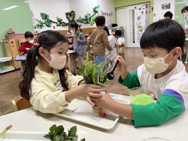 영진전문대학교부설유치원에서 유아들이 함께 수경식물을 만드는 또래활동을 하고 있다. 대구시교육청 제공