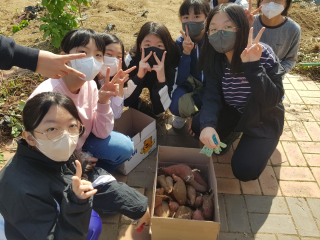 조암초 옥상텃밭 모습. 조암초등학교 제공