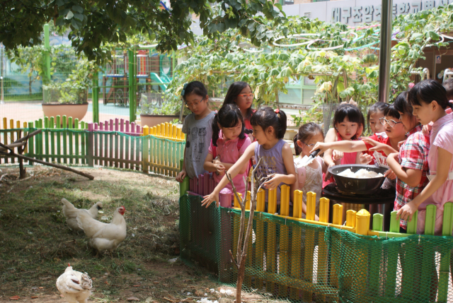 토끼 4마리, 닭 13마리가 자라고 있는