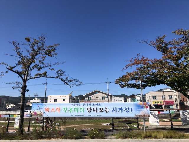 영덕군 영덕읍 덕곡천변에서 오는 26일까지 거리시화전이 열린다. 영덕군 제공