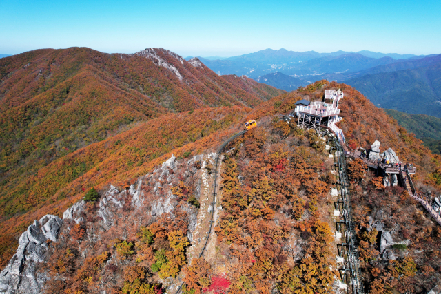 19일 경남 함양군 병곡면 대봉산휴양밸리를 찾은 관광객들이 모노레일을 타며 단풍을 구경하고 있다. 연합뉴스