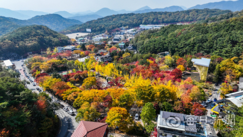 '팔공산' 23번째 국립공원 지정, 환경영향평가 본격화