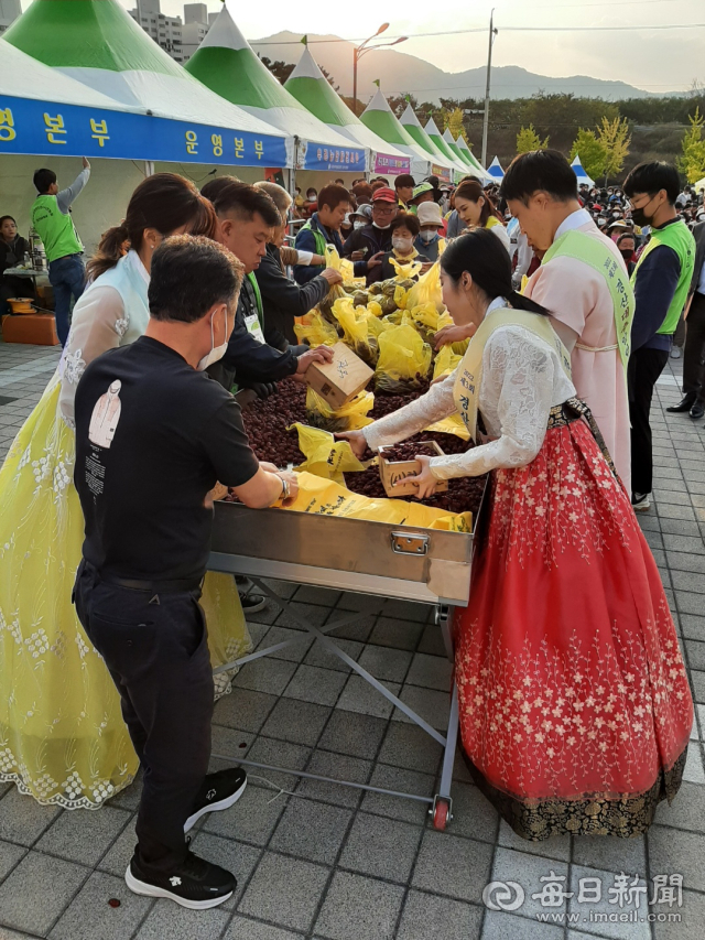 제11회 경산대축축제에 경산대추알림이와 주최측 관계자들이 대추 할인판매를하고 있다. 김진만 기자