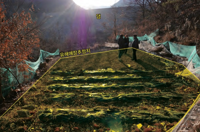 이번에 대구에서 유해 발굴이 이뤄지는 규모 150㎡ 상당의 달성군 가창면 용계리 89-6 일원. 진화위 제공