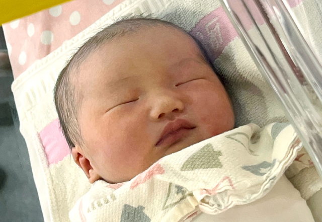 전은지아가