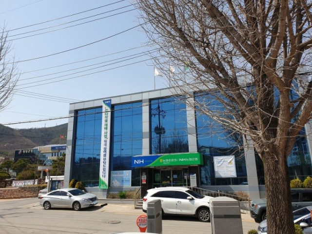 농협 영양군지부 전경. 매일신문DB