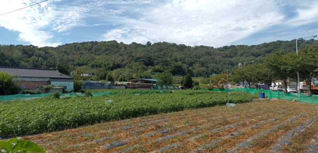 오태1동 마을 전경