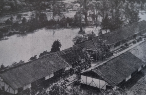 1940년대 장기초 전경. 장기초 제공.