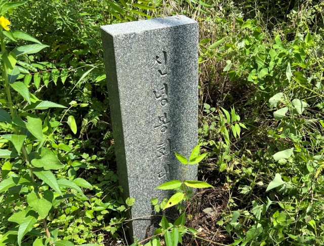 여음동 봉수대. 영천시 제공