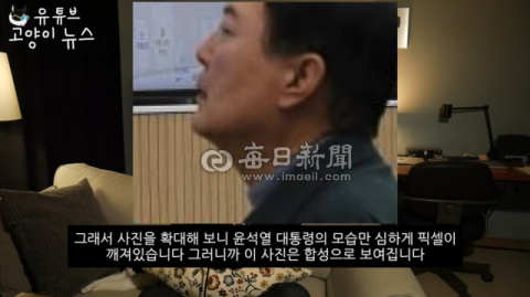 [단독] 고양이뉴스 