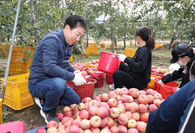 합동 농촌일손돕기