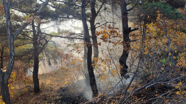 경북 군위군 우보면 봉산리 뒷산에서 산불이 발생, 헬기와 산불진화대 등을 긴급 투입해 1시간 10분만에 주불을 완료했다. 산림청 제공