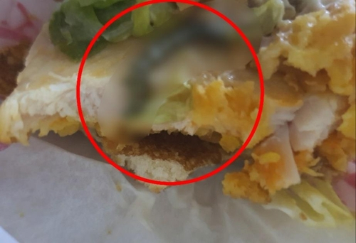 맥도날드 햄버거에서 나온 벌레의 끝부분이 잘려 매달린 모습. 제보자 A씨 제공. 연합뉴스