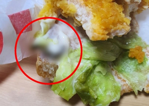 맥도날드 햄버거에서 나온 벌레의 끝부분이 잘려 매달린 모습. 제보자 A씨 제공. 연합뉴스