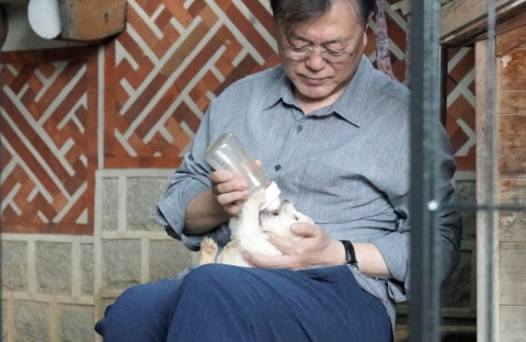문재인 전 대통령은 재임 중이던 지난 2021년 7월 페이스북으로 김정은 북한 국무위원장으로부터 받은 풍산개