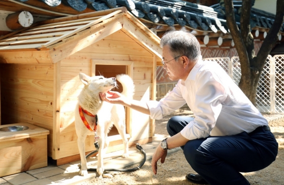김정은 북한 국무위원장이 선물한 풍산개 