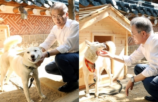 김정은 북한 국무위원장이 선물한 풍산개 