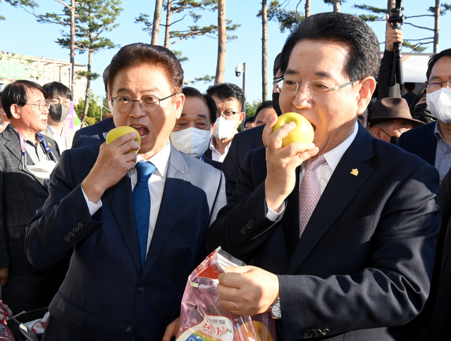 이철우 경북도지사가 영호남 상생장터에서 청송사과를 맛보고 있다. 경북도 제공