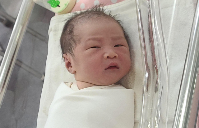 장수정아가