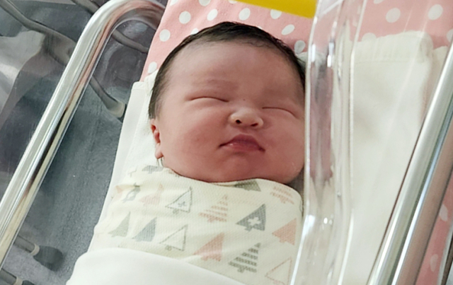 정아름아가